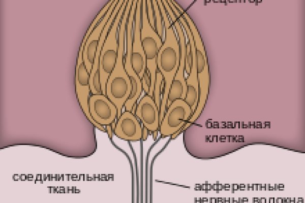 Кракен сайт kraken014 com