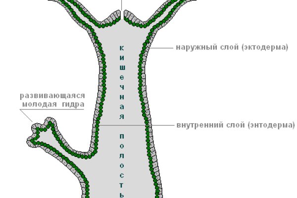 Кракен рабочая ссылка на официальный магазин