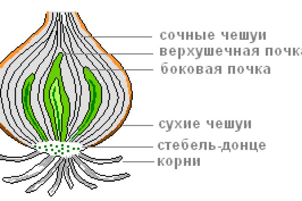 Кракен тор kraken014 com